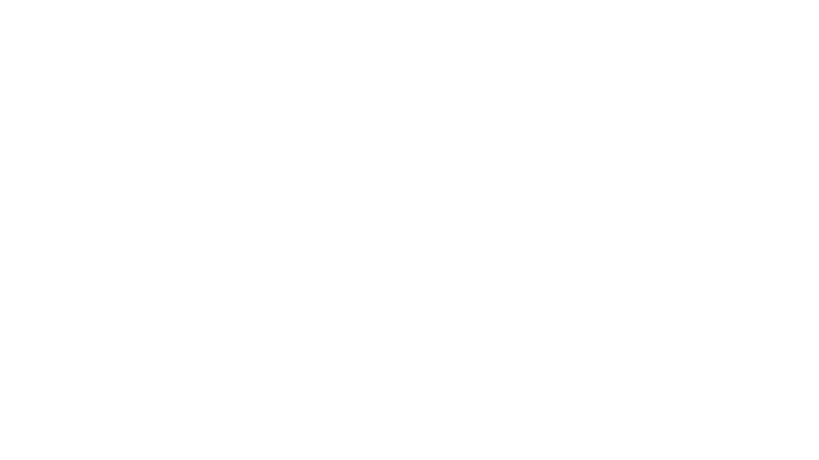 Insight Partners