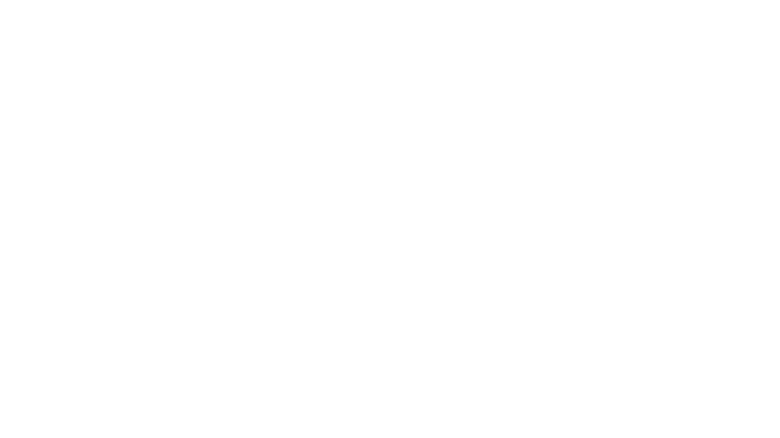 JP Morgan Chase & Co.