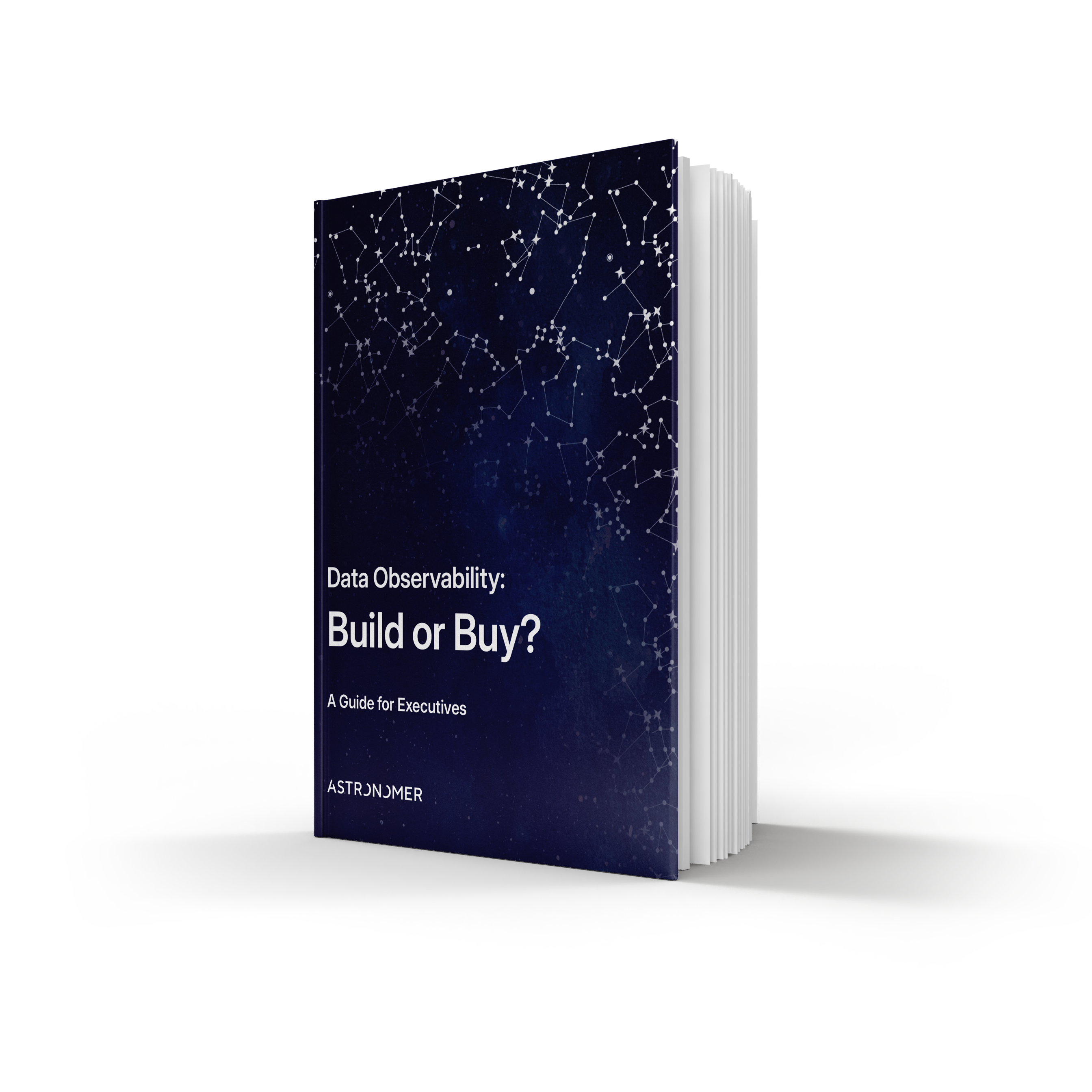Data Observability: Build or Buy? A Guide for Executives Data Observability: Build or Buy? A Guide for Executives